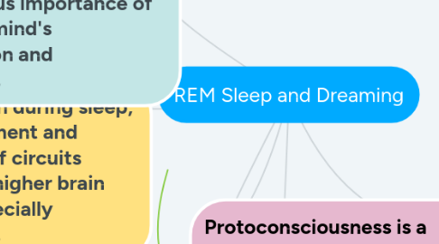 Mind Map: REM Sleep and Dreaming