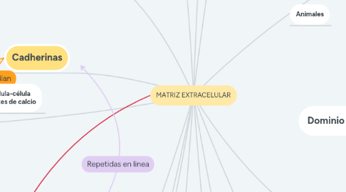 Mind Map: MATRIZ EXTRACELULAR