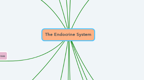 Mind Map: The Endocrine System