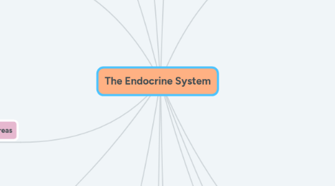 Mind Map: The Endocrine System