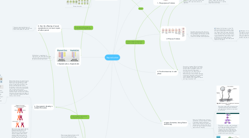 Mind Map: Reproduction