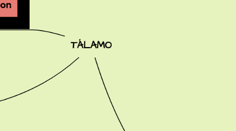 Mind Map: TÁLAMO