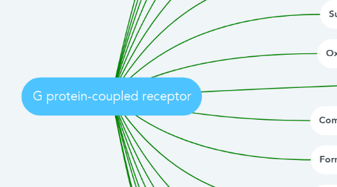 Mind Map: G protein-coupled receptor