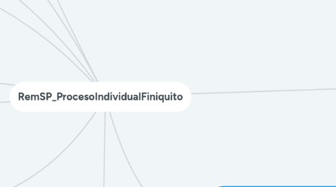 Mind Map: RemSP_ProcesoIndividualFiniquito