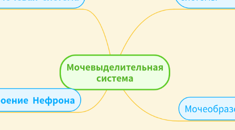 Mind Map: Мочевыделительная система