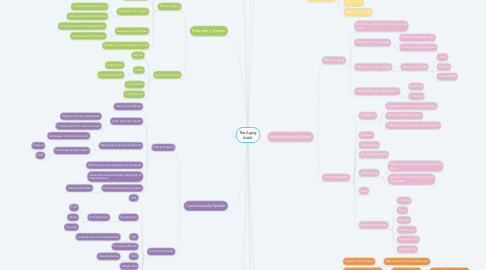 Mind Map: The Aging Adult