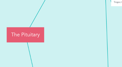 Mind Map: The Pituitary