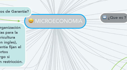 Mind Map: MICROECONOMIA