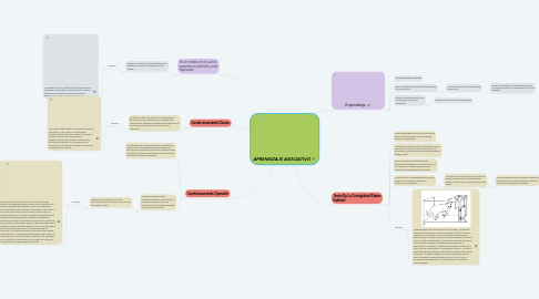 Mind Map: APRENDIZAJE ASOCIATIVO