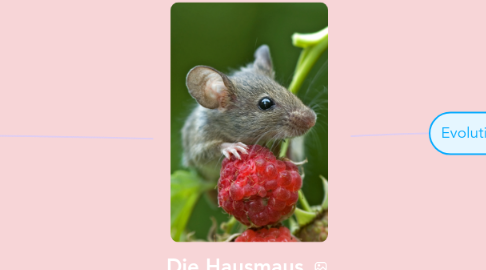 Mind Map: Die Hausmaus