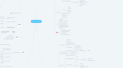 Mind Map: TAGRET BOOTCAMP