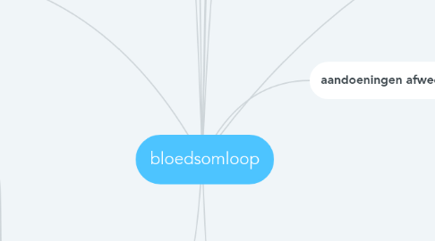 Mind Map: bloedsomloop