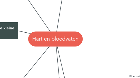 Mind Map: Hart en bloedvaten