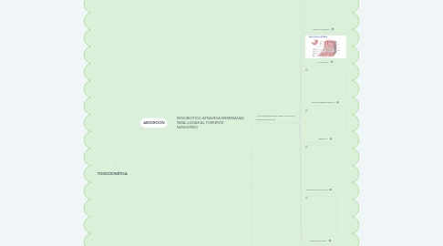 Mind Map: TOXICOCINÉTICA