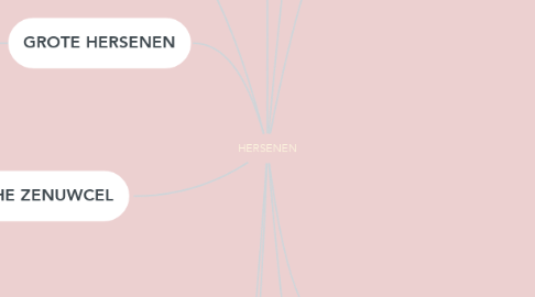 Mind Map: HERSENEN