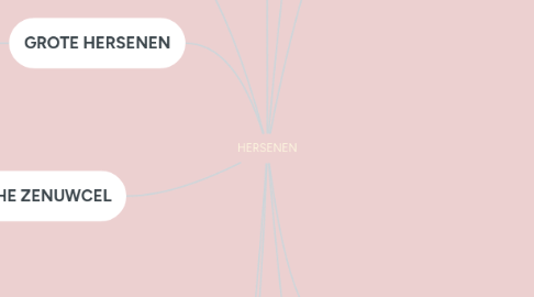 Mind Map: HERSENEN