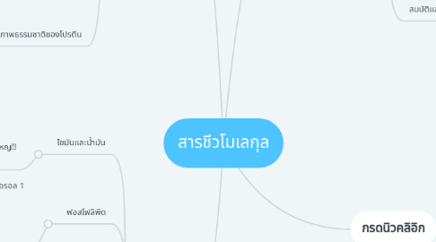 Mind Map: สารชีวโมเลกุล