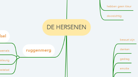 Mind Map: DE HERSENEN