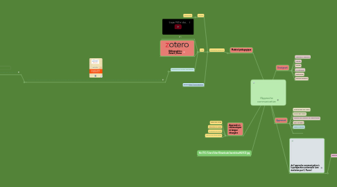 Mind Map: l'Approche communicative