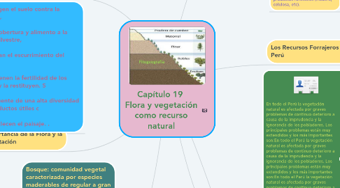 Mind Map: Capítulo 19  Flora y vegetación como recurso natural