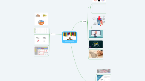 Mind Map: Information Styles