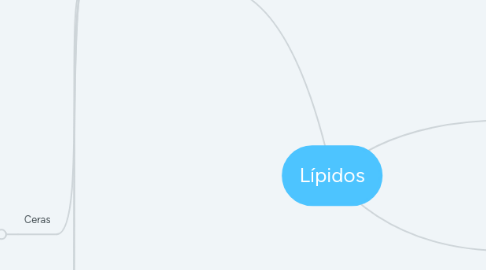 Mind Map: Lípidos