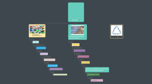 Mind Map: RETO PET