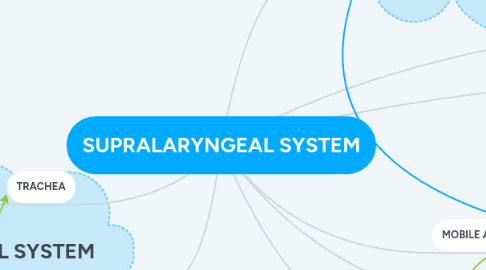 Mind Map: SUPRALARYNGEAL SYSTEM