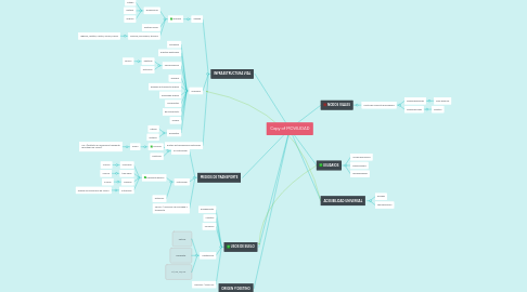 Mind Map: Copy of MOVILIDAD