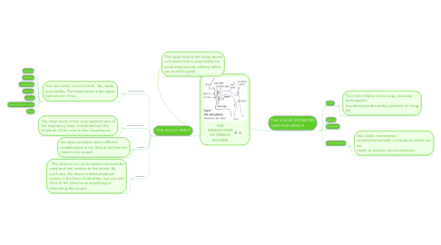 Mind Map: THE PRODUCTION OF SPEECH SOUNDS