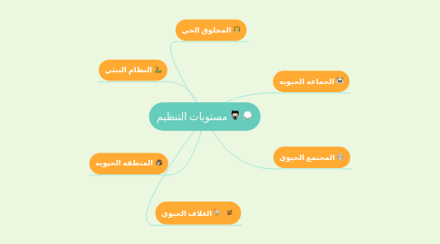 Mind Map: مستويات التنظيم