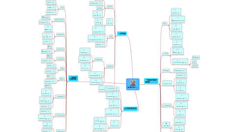 Mind Map: EL MEU PLE