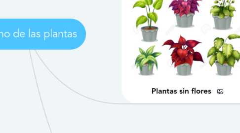 Mind Map: El reino de las plantas