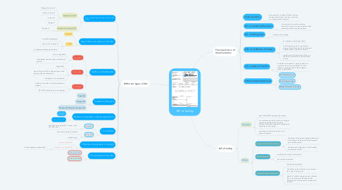 Mind Map: Bill of lading