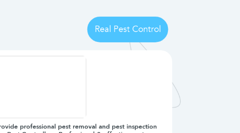 Mind Map: Real Pest Control