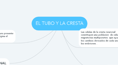 Mind Map: EL TUBO Y LA CRESTA