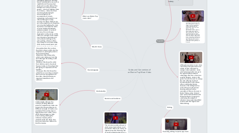 Mind Map: Codes and Conventions of an Electro Pop Music Video