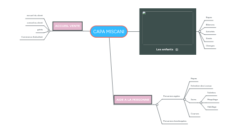 Mind Map: CAPA MISCANI