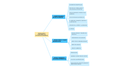 Mind Map: FORMULACION Y EVALUACION  DE PROYECTOS DE INGENIERIA