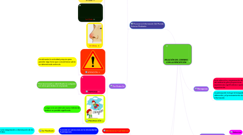 Mind Map: RELACIÓN DEL CEREBRO CON LA PERCEPCIÓN