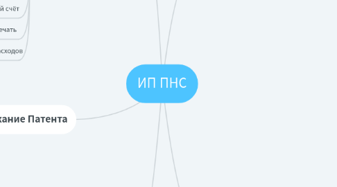 Mind Map: ИП ПНС