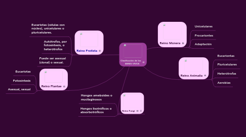 Mind Map: Clasificación de los     SERES VIVOS