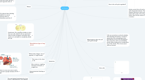 Mind Map: Cell Division