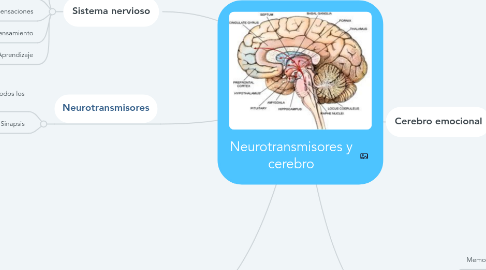 Mind Map: Neurotransmisores y cerebro