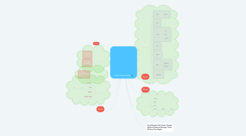 Mind Map: Parts of the body