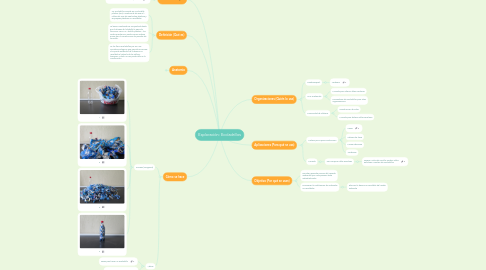 Mind Map: Exploración: Ecoladrillos