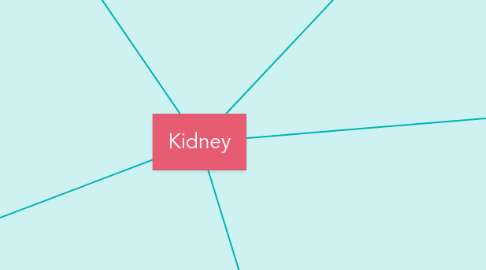 Mind Map: Kidney