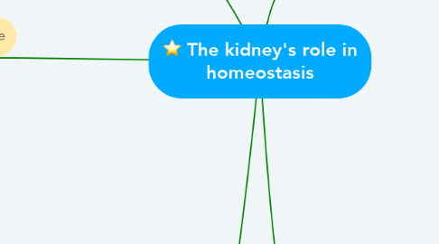 Mind Map: The kidney's role in homeostasis
