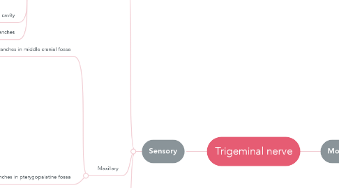 Mind Map: Trigeminal nerve