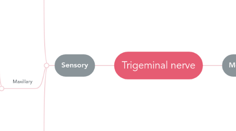 Mind Map: Trigeminal nerve